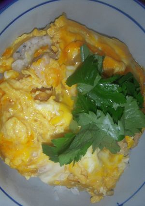 親子丼-レシピのメイン写真