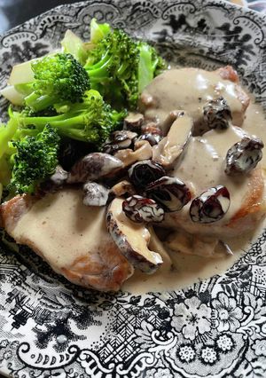 ポークヒレ椎茸とレーズンのクリームソース-レシピのメイン写真