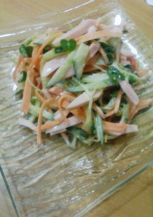 野菜いっぱいサラダ-レシピのメイン写真