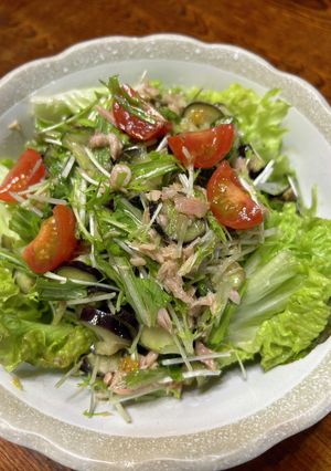 ナスと水菜のサラダ-レシピのメイン写真
