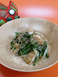 水菜と油揚げのお浸し-レシピのメイン写真
