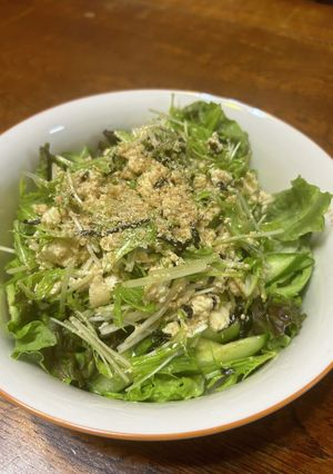 水菜と豆腐のサラダ-レシピのメイン写真