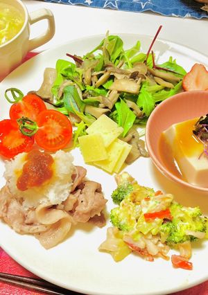 おろしポン酢で豚肉メインの夕飯メニュー-レシピのメイン写真