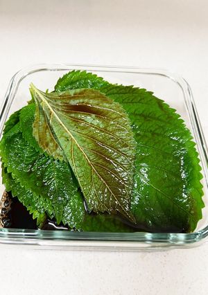 깻잎장아찌(エゴマの葉の醤油漬け)-レシピのメイン写真