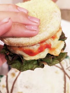 塩麹だけで和風ハンバーグ☆-レシピのメイン写真