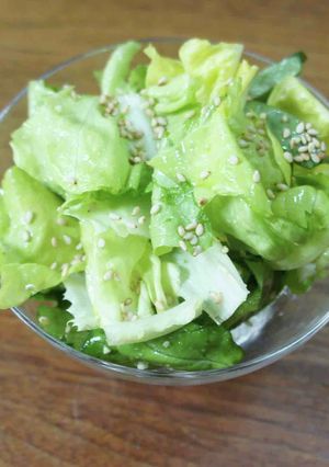 サラダ菜サラダ-レシピのメイン写真
