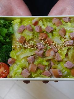 レンジで★きゃべつとソーセージの丼弁当-レシピのメイン写真
