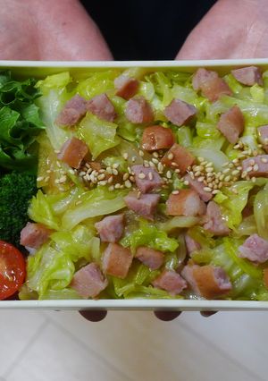 レンジで★きゃべつとソーセージの丼弁当-レシピのメイン写真
