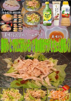 美味ドレワサビごまドレレモン鶏胸肉サラダ-レシピのメイン写真