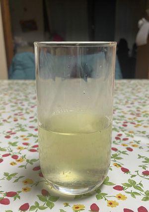 だいだいのドリンク♪ ホットでも♩-レシピのメイン写真