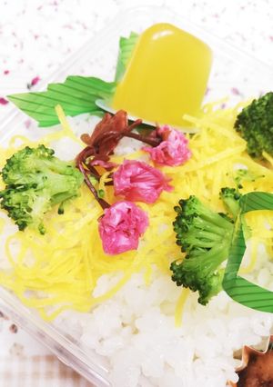 花散らし弁当♪-レシピのメイン写真