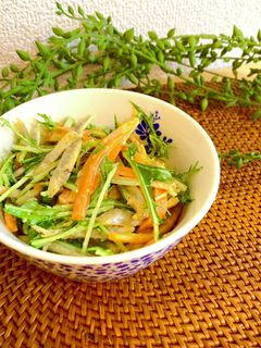 ごぼうと水菜のサラダ-レシピのメイン写真