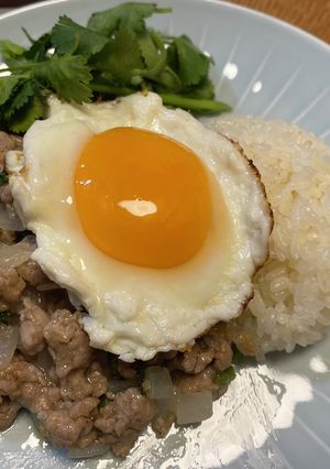 ラープごはん（タイ風すっぱひき肉炒め）-レシピのメイン写真