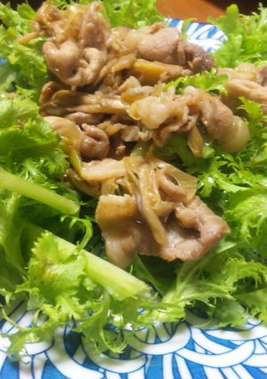 豚肉と葱のコチュジャン炒め☆わさび菜のせ-レシピのメイン写真