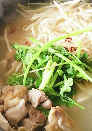 鍋☆旨鶏アジアン鍋☆節約モヤシ☆寒い日に-レシピのメイン写真