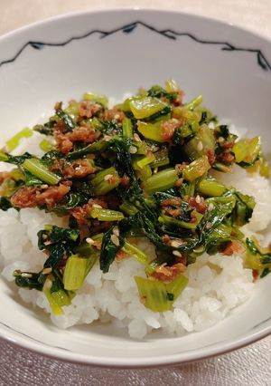 かぶの葉の鰹節炒め-レシピのメイン写真