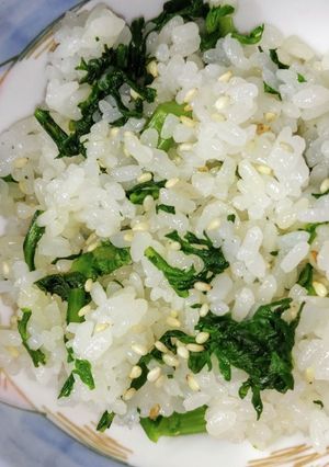 春を感じる春菊ご飯 麺つゆで美味しく-レシピのメイン写真