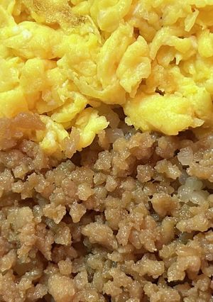 そぼろご飯-レシピのメイン写真