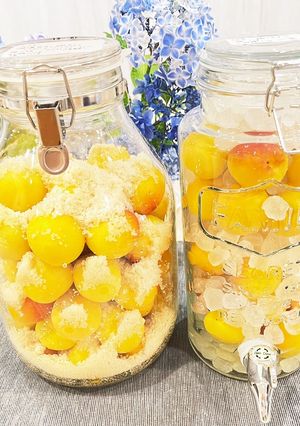 減塩白干し梅干し(梅干さない)【写真左】-レシピのメイン写真