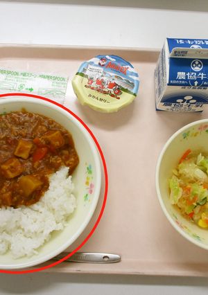 (学校給食)新発田牛と厚揚げのカレー-レシピのメイン写真