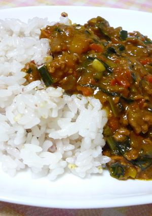 ☆お野菜いっぱい☆ひきにくカレー☆-レシピのメイン写真