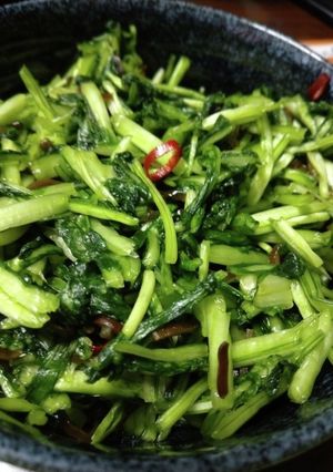 壬生菜の塩昆布漬-レシピのメイン写真