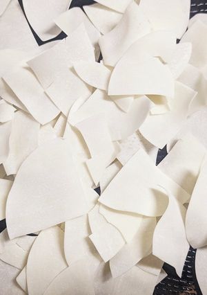乾燥餃子の皮☆干し餃子の皮☆長期保存食-レシピのメイン写真