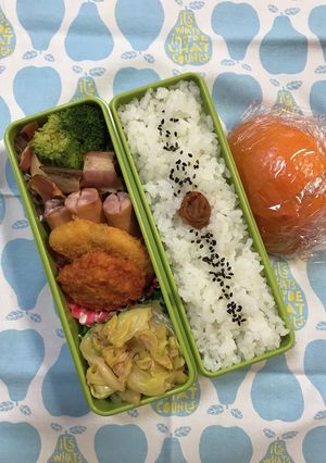 20240228マイ弁当-レシピのメイン写真