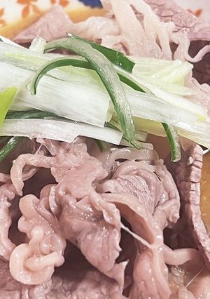 今夜の夕飯♡温でも冷でもOK♡ネギしゃぶ-レシピのメイン写真