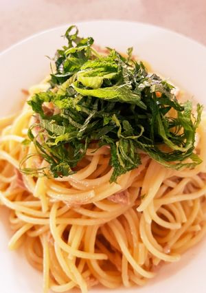 ツナと大葉のカンタンパスタ-レシピのメイン写真