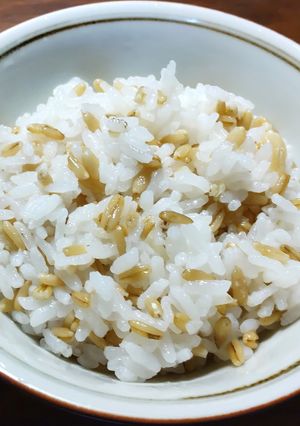 オートミール入りご飯　オートグローツ-レシピのメイン写真