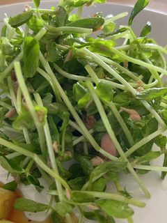 豆苗とツナのサラダ-レシピのメイン写真