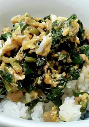 春の訪れ のらぼう菜丼-レシピのメイン写真