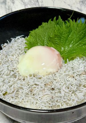 シラス温玉丼(身内専用)-レシピのメイン写真