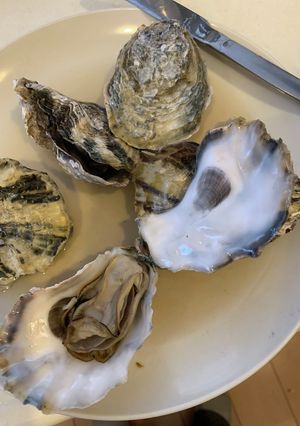殻付き牡蠣の宇宙一簡単な食べ方　レンチン-レシピのメイン写真