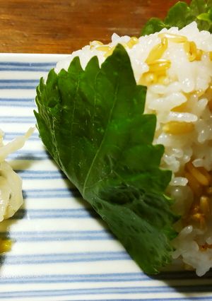 オートミールご飯のおむすび　鱈の漬け焼き-レシピのメイン写真