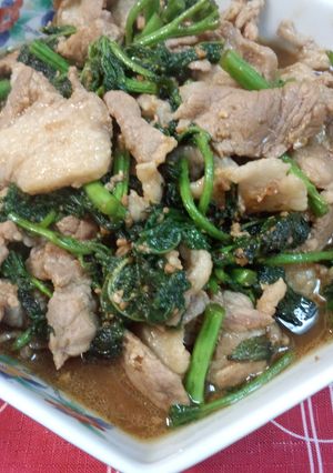 豚肉とアイコの味噌炒め-レシピのメイン写真