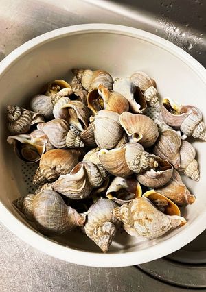 磯つぶ　茹で方　つぶ煮-レシピのメイン写真