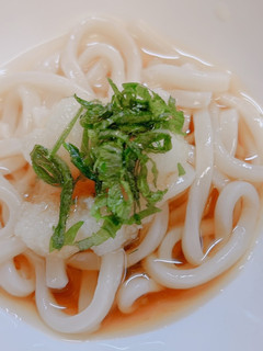 激ウマ大葉大根おろしぶっかけうどん-レシピのメイン写真
