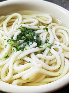 いしりを使ったコクが決め手の茹でうどん-レシピのメイン写真