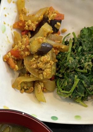 ナストマトたまねぎカレー炒め-レシピのメイン写真