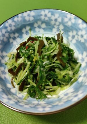 水菜の即席漬け-レシピのメイン写真