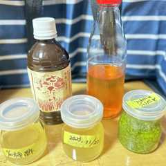 柿酢-レシピのメイン写真