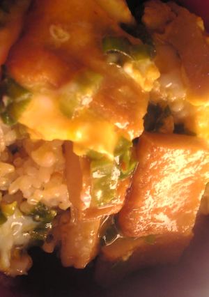 さつま揚げと葱のピリ辛丼-レシピのメイン写真