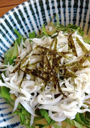 簡単♪乗せるだけ☆しらす丼♪-レシピのメイン写真