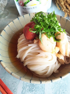 塩糀ささみ梅ぶっかけうどん-レシピのメイン写真