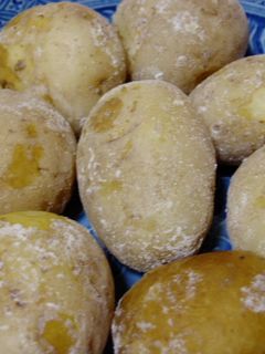 ヘルシー!ノンオイル!新じゃがの塩煮!-レシピのメイン写真