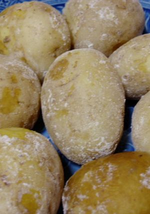 ヘルシー！ノンオイル！新じゃがの塩煮！-レシピのメイン写真