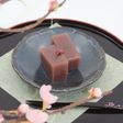 水ようかん~さくら仕立て~