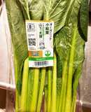 ツナと小松菜(ほうれん草)の炒め物